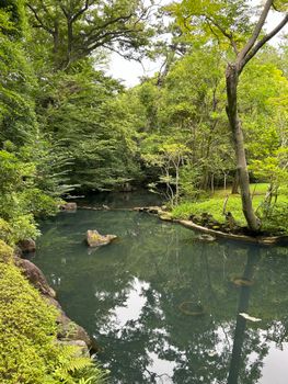 Serene pond in a lush forest setting, ideal for nature and relaxation themes.