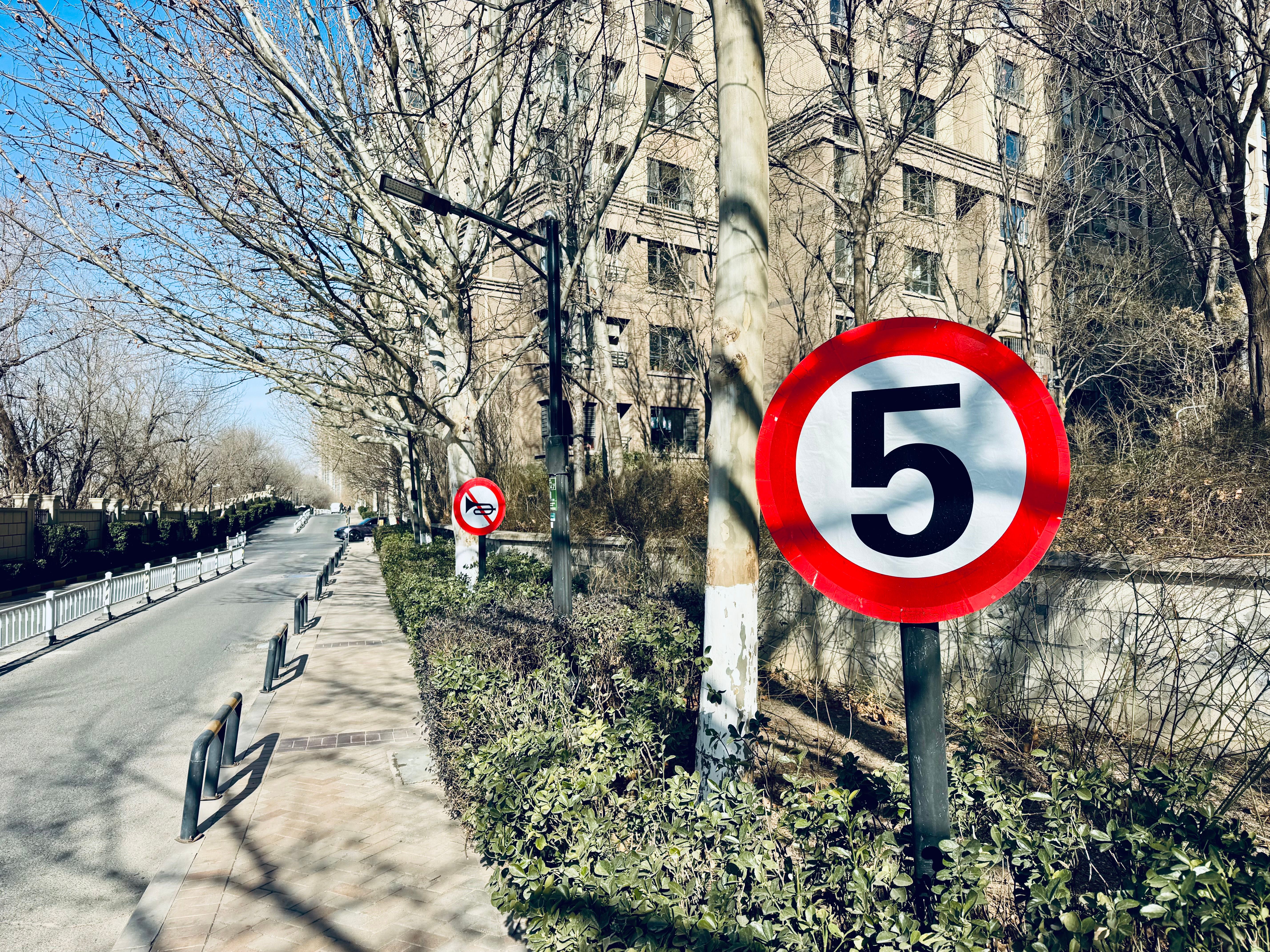 Urban Street with Speed Limit Sign in Winter