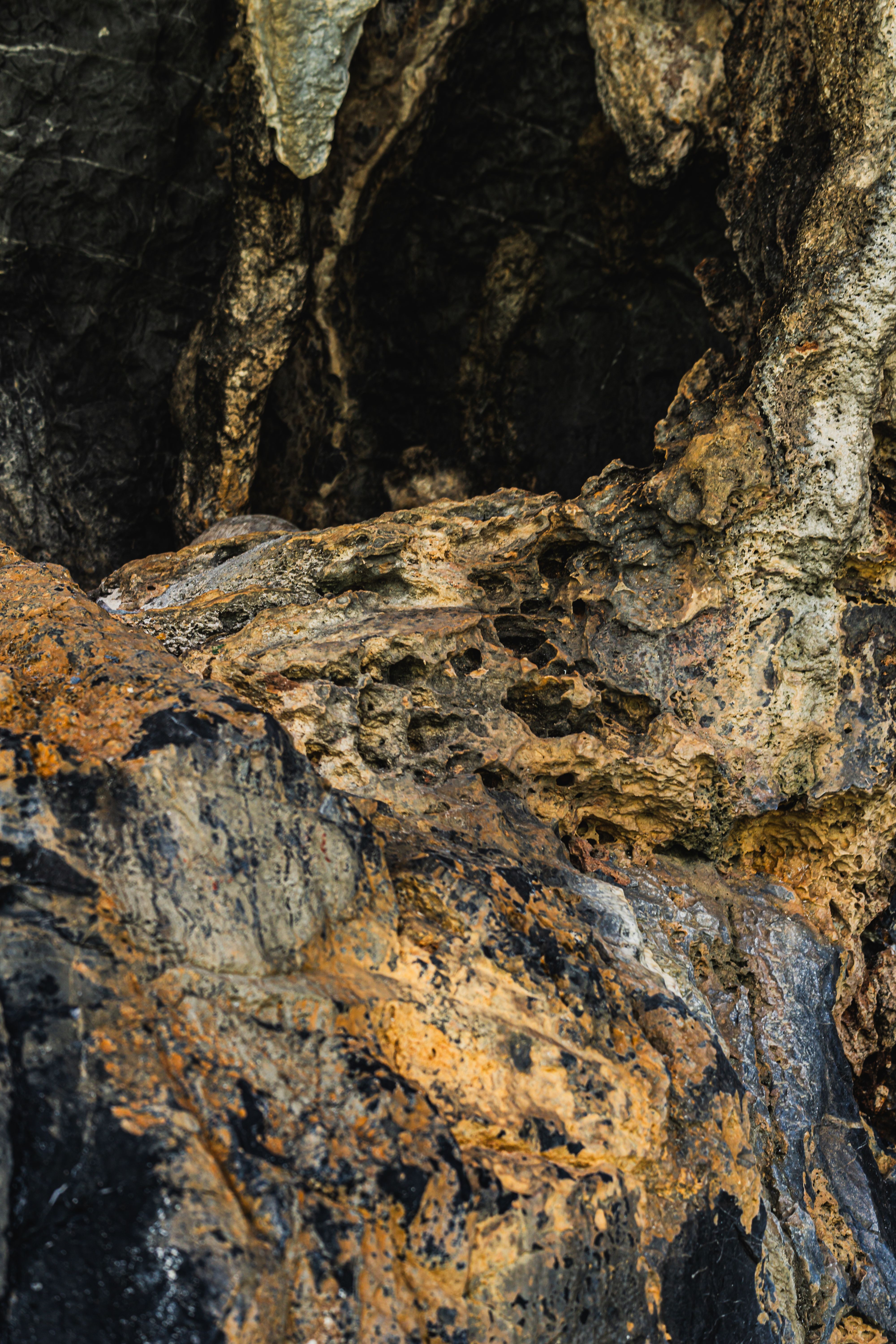 Intricate Textures of a Rocky Cave Entrance · Free Stock Photo