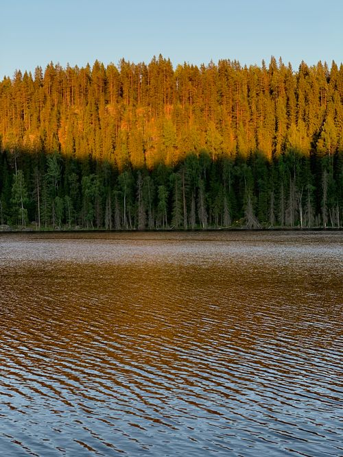 Free Sunset view of a Finnish lake with dense forest. Tranquil, scenic, and natural beauty. Stock Photo