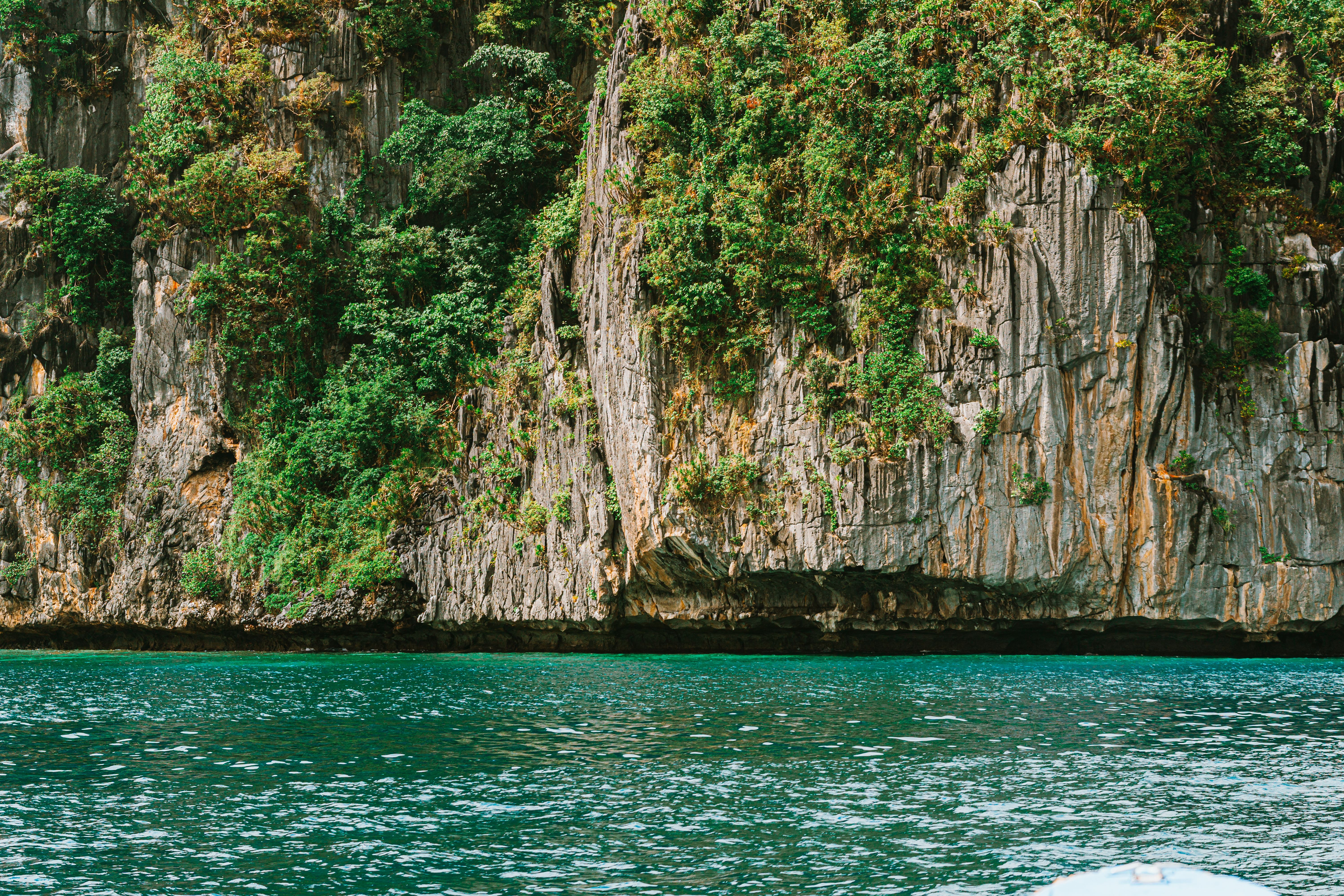 Palawan real estate