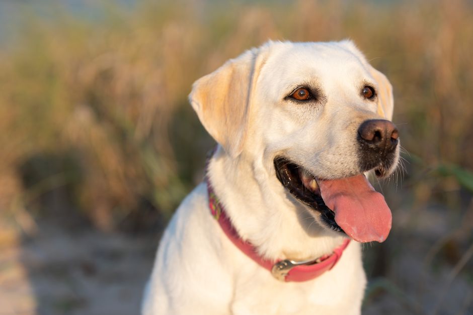 best family friendly beaches