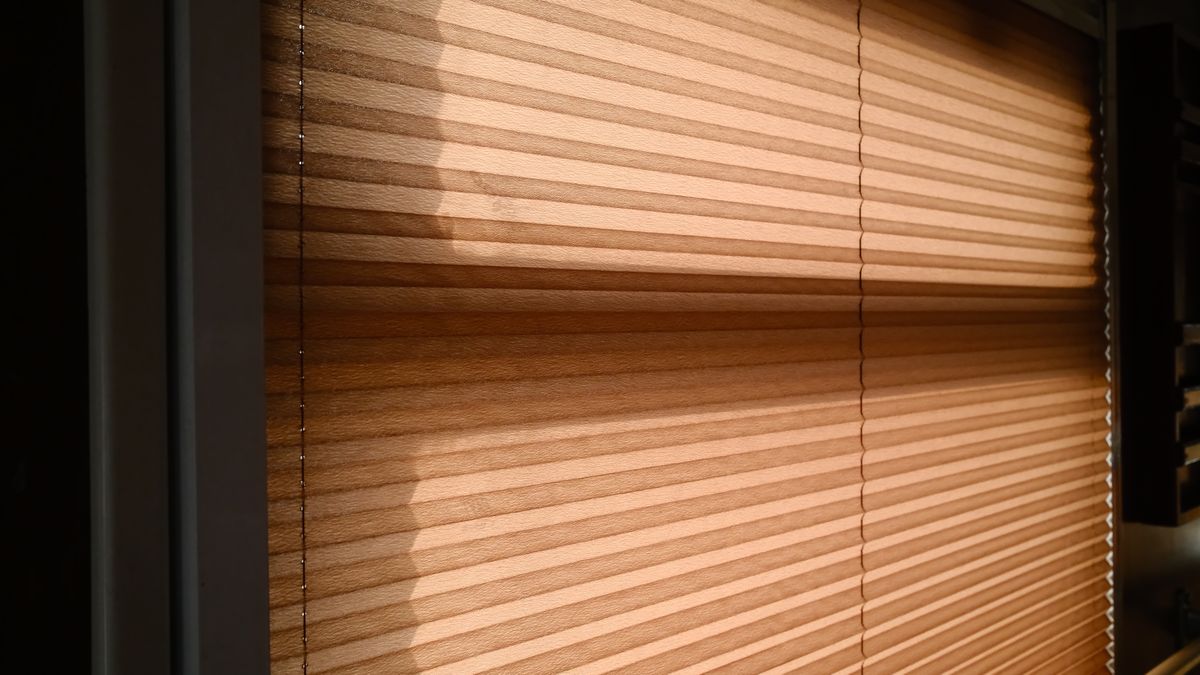 Pleated and Cellular Blinds