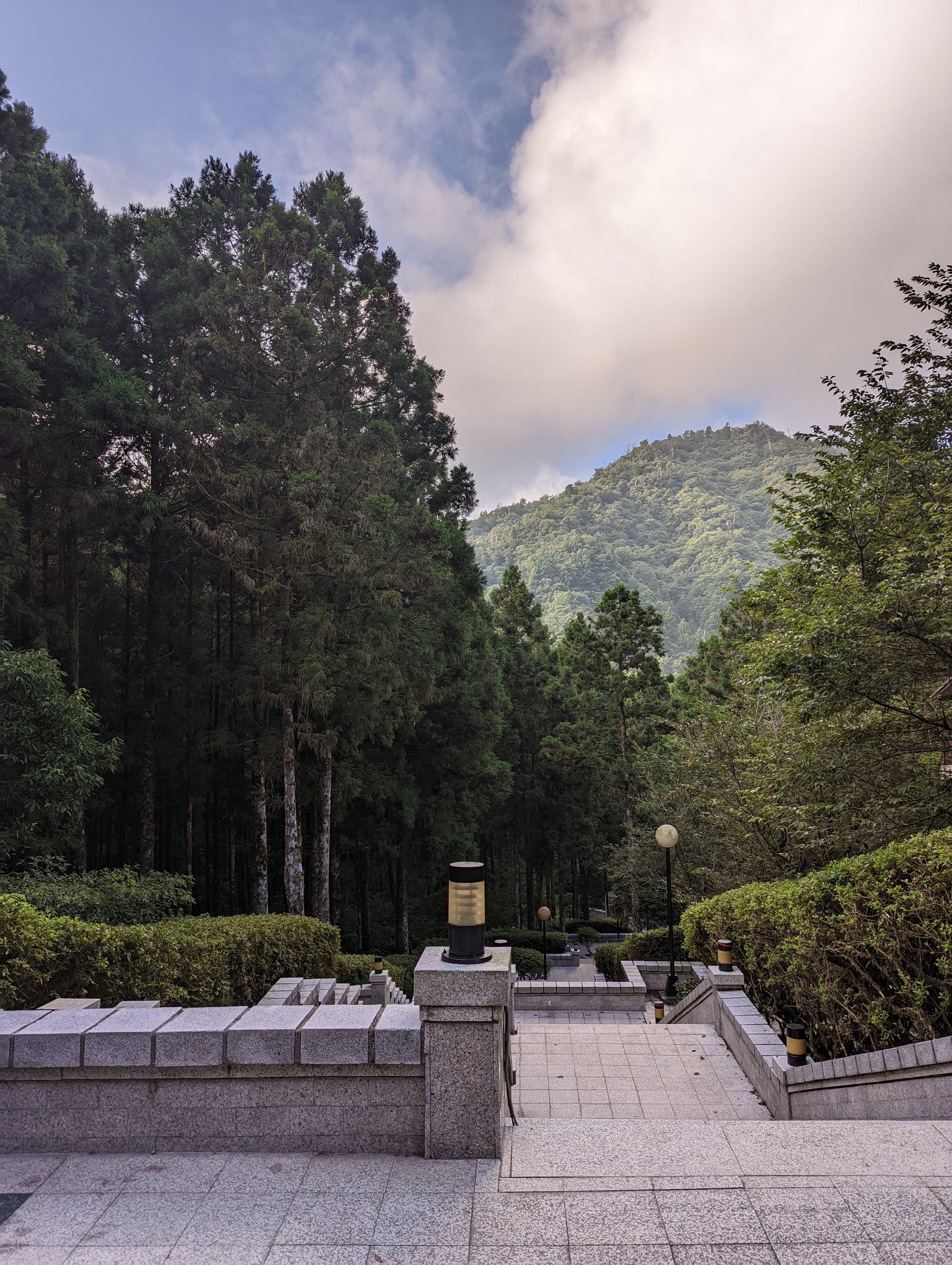 Tranquil steps descending through lush forest in Yilan, Taiwan with mountain views.