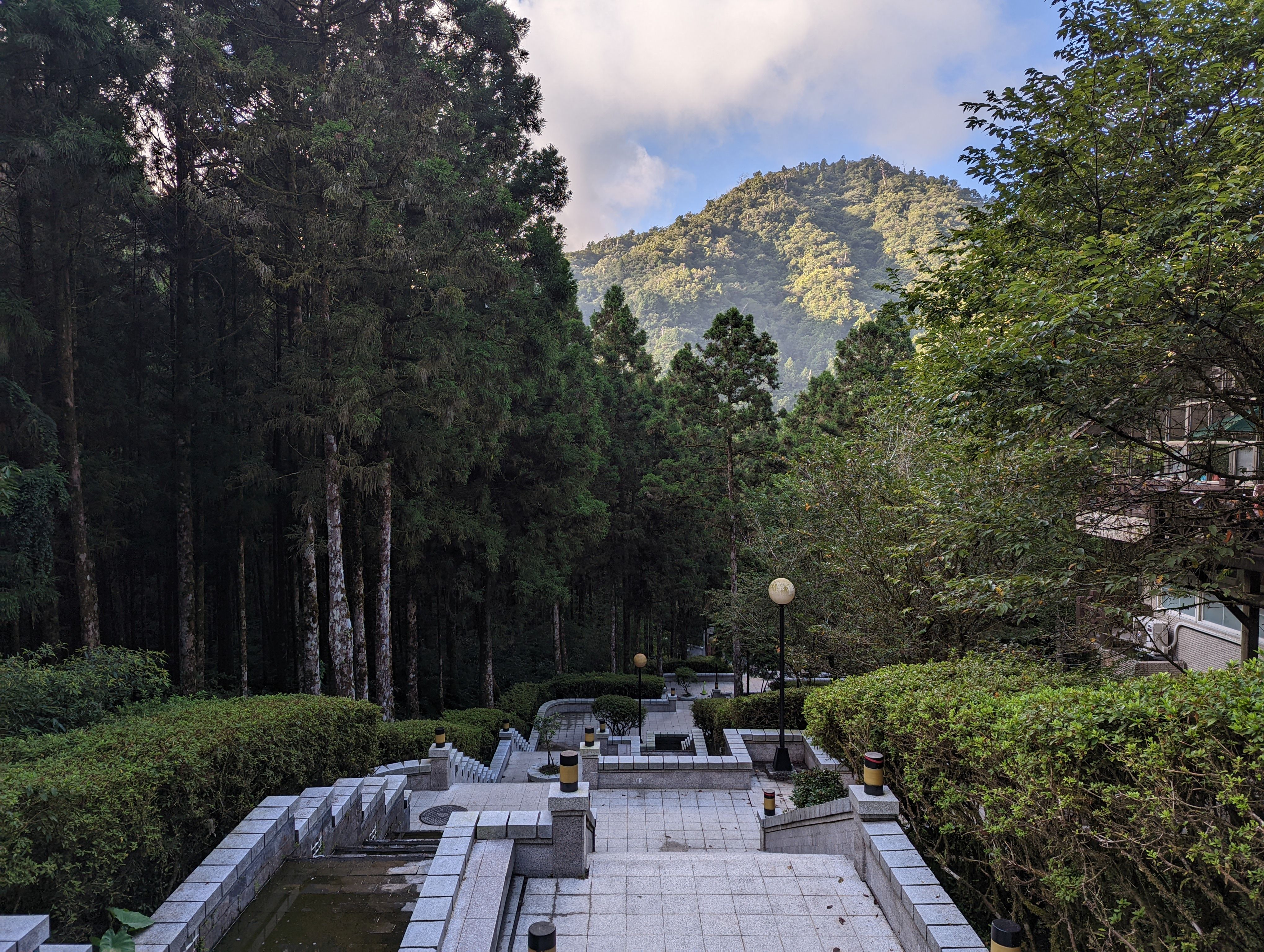 Scenic view of a mountain forest pathway and steps in Taiwan, surrounded by lush greenery and tranquil nature.