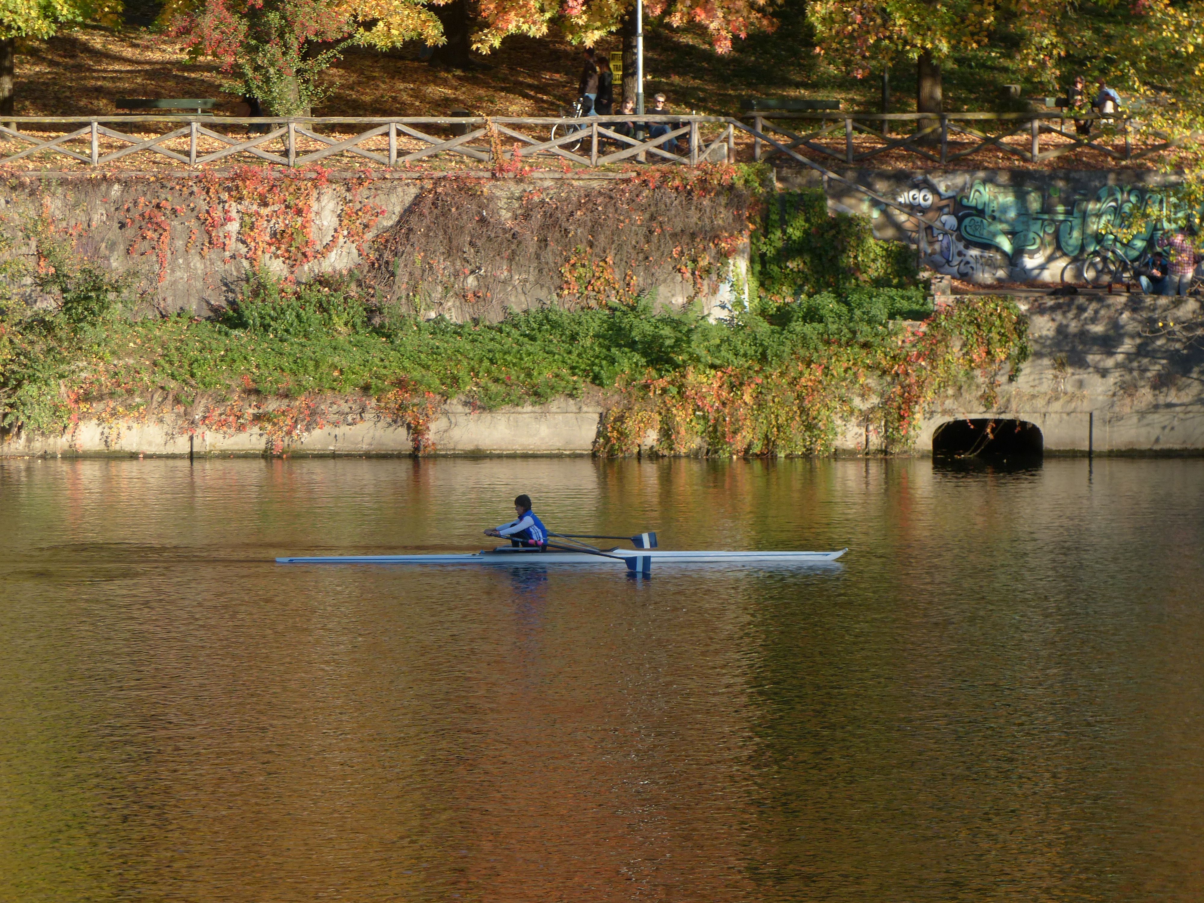 Rowing+Sport Photos, Download The BEST Free Rowing+Sport Stock Photos ...