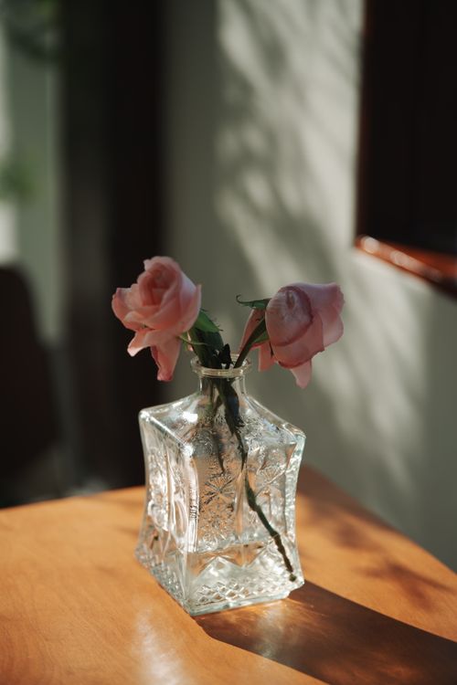 Free Aesthetic composition of pink roses in a patterned glass vase with sunlight casting shadows indoors. Stock Photo