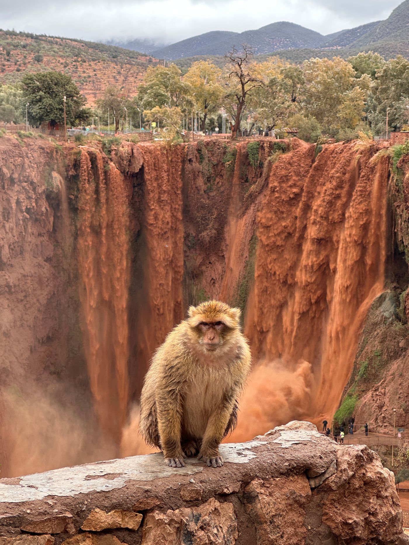 Ouzoud Waterfalls, Morocco — real-location travel photograph