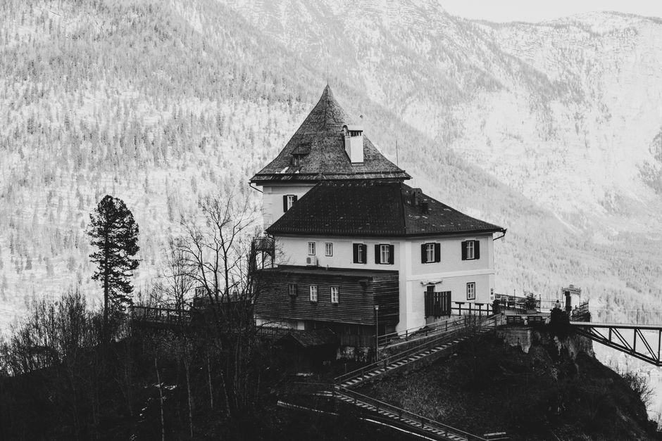 Performance Tested: Real-Life Applications of the Mueller Austria Blender