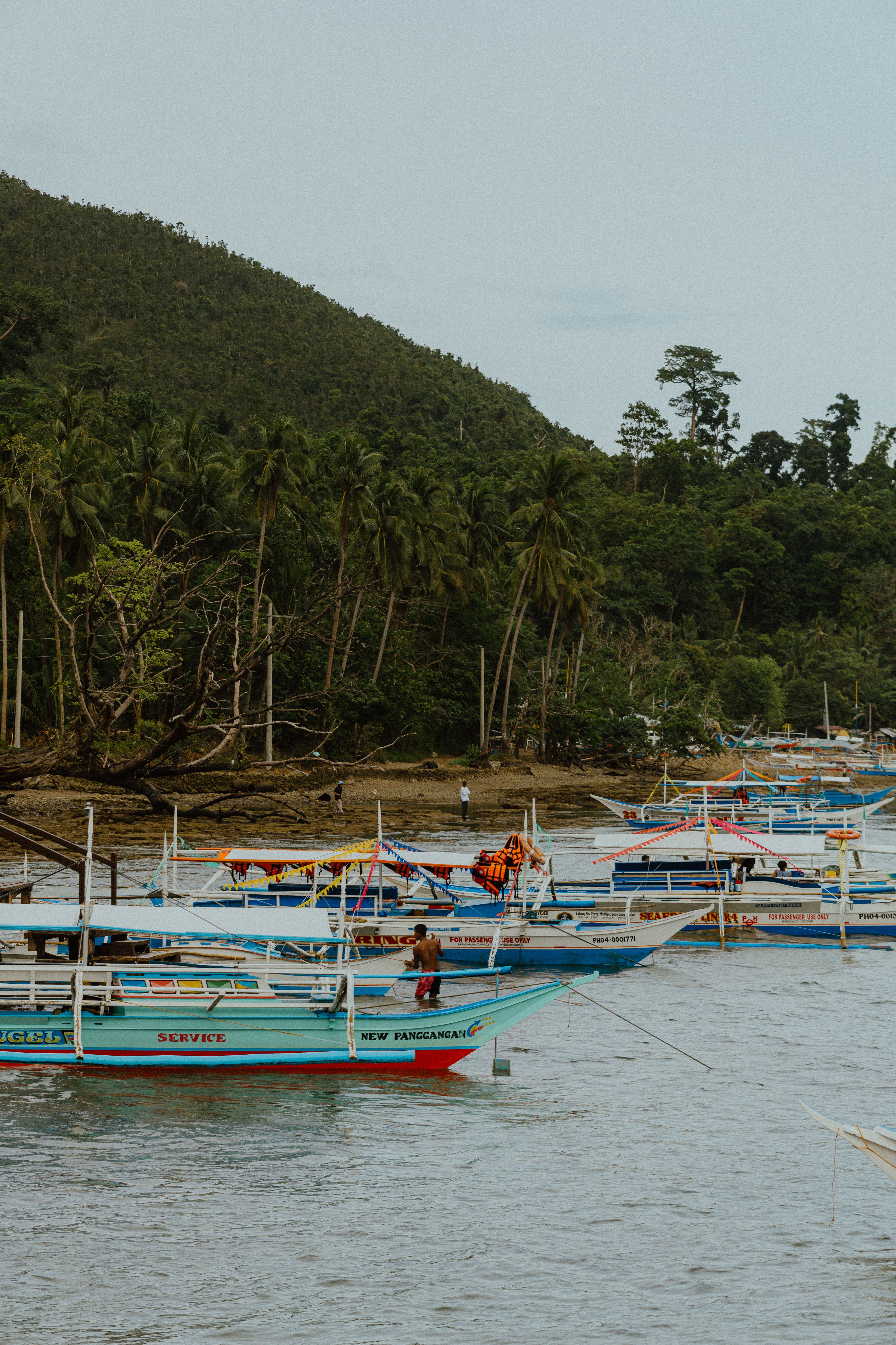 Colorful Boats Docked in a Tropical Harbor · Free Stock Photo