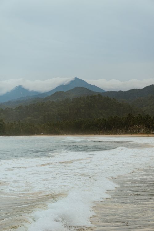 Free Tranquil tropical beach with waves, palm trees, and misty mountains under a cloudy sky. Stock Photo