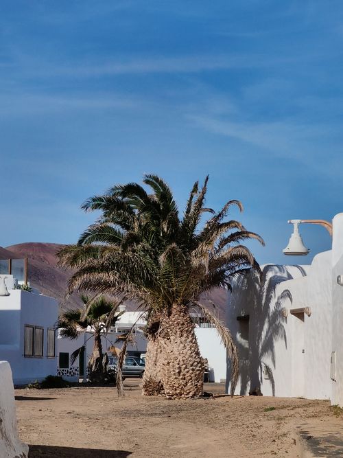 Free Idyllic street lined with white buildings and a palm tree under a clear blue sky. Stock Photo