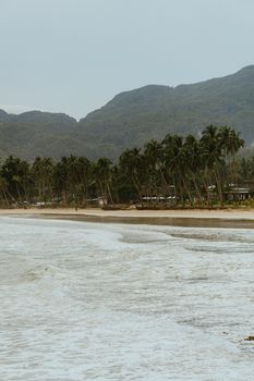 Scenic view of a tropical beach lined with palm trees against a backdrop of lush mountains.