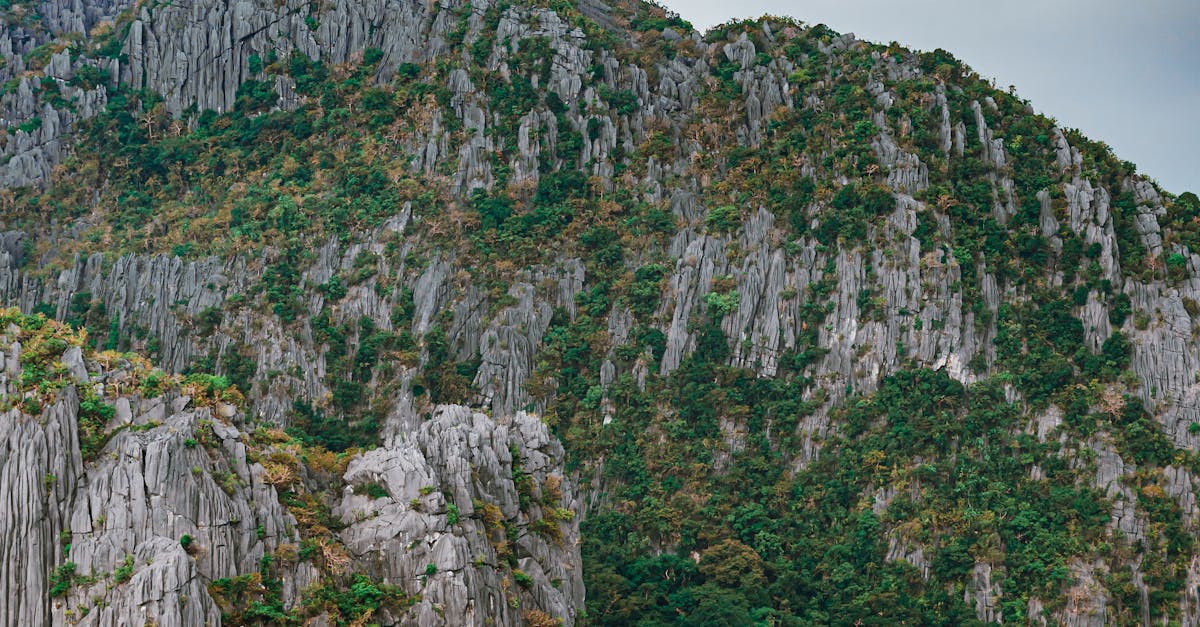 Filipinas: RSE que refuerza preparación ante desastres y resiliencia de barrios Filipinas: RSE que refuerza preparación ante desastres y resiliencia de barrios