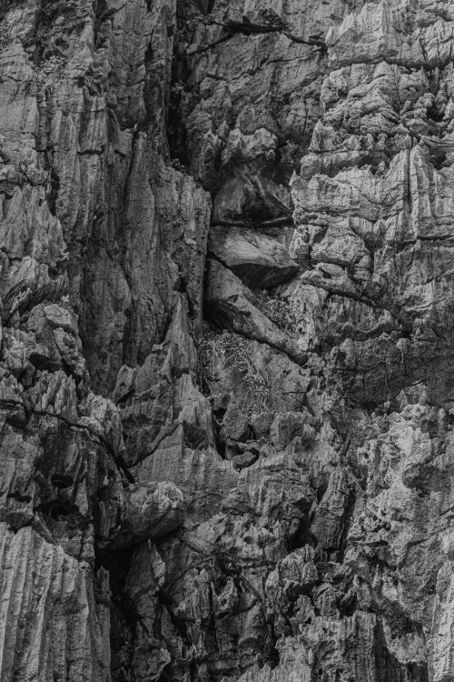 Free A stunning black and white photograph showcasing the intricate textures of a rocky cliff face. Stock Photo