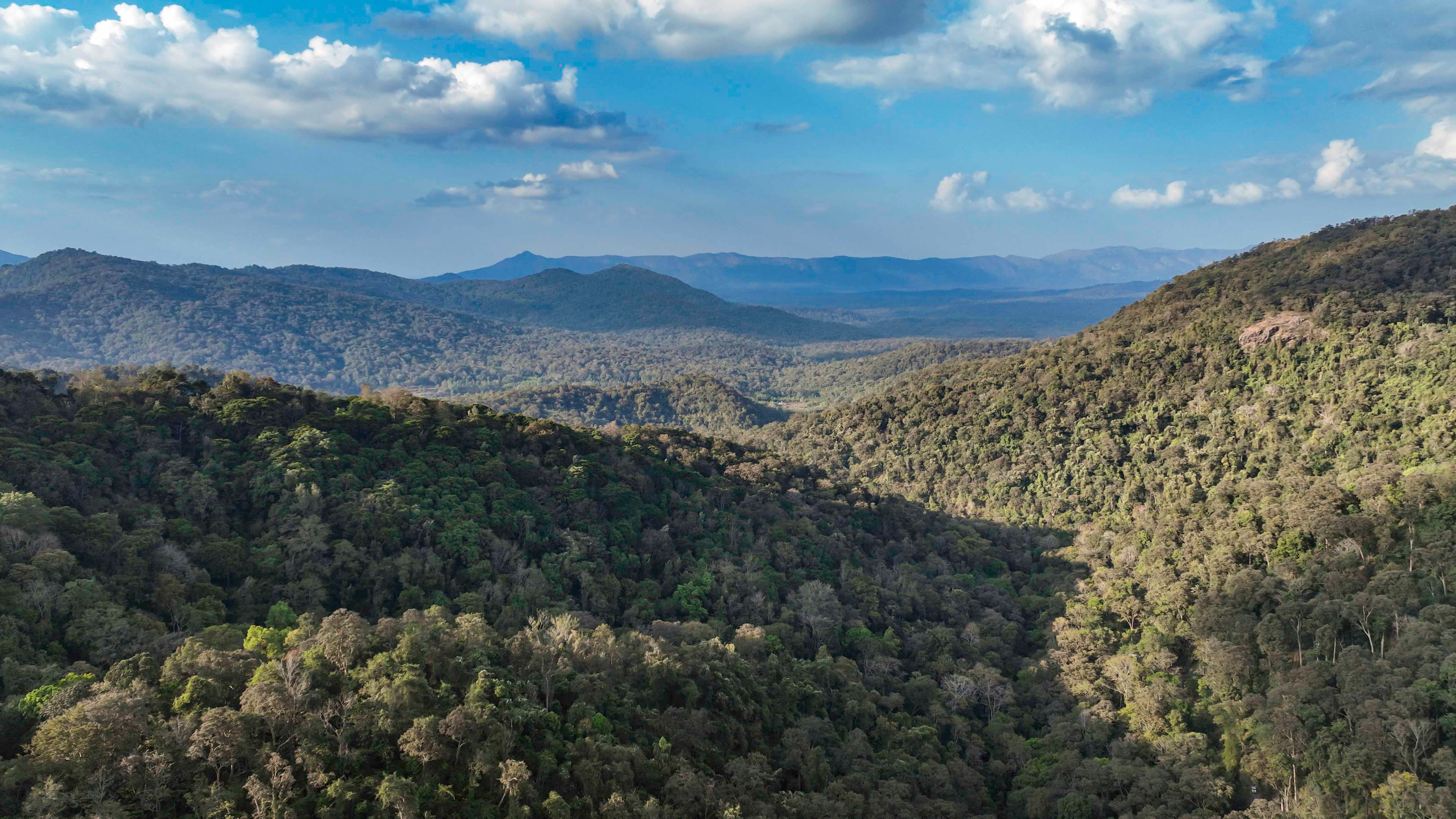 Experience the stunning greenery and mountainous landscape of Chikkamagaluru, Karnataka, India.