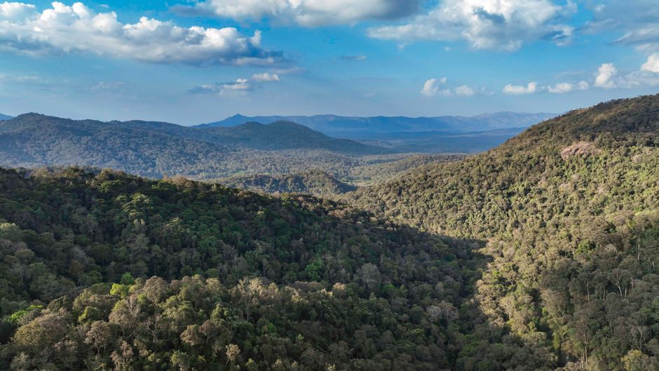 Experience the stunning greenery and mountainous landscape of Chikkamagaluru, Karnataka, India.
