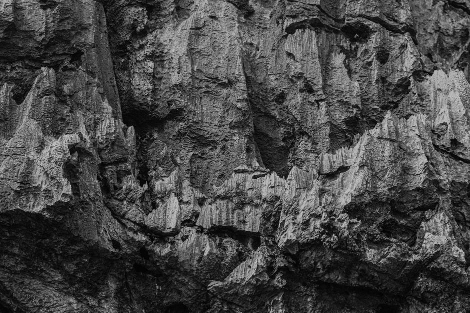 A detailed black and white photograph showcasing the textured surface of a rocky formation.
