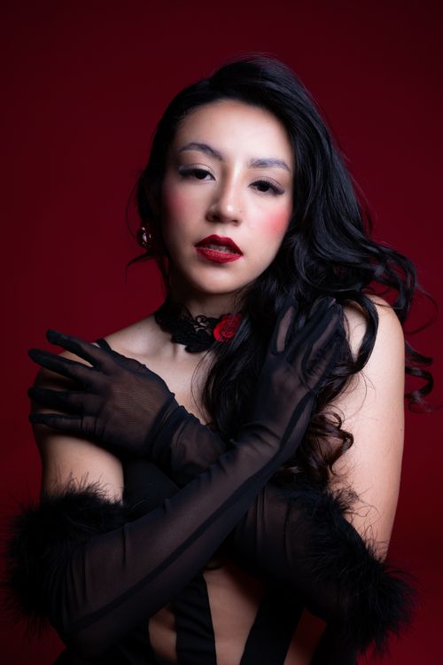 Free A dramatic and elegant portrait of a woman in black attire, embodying glamour and sophistication against a deep red background. Stock Photo
