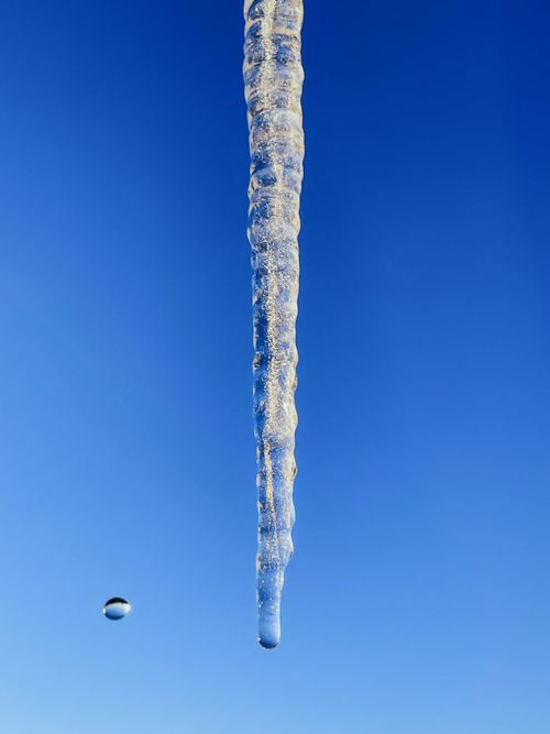 Free A solitary icicle with a water droplet suspended in mid-air, set against a clear blue winter sky. Stock Photo