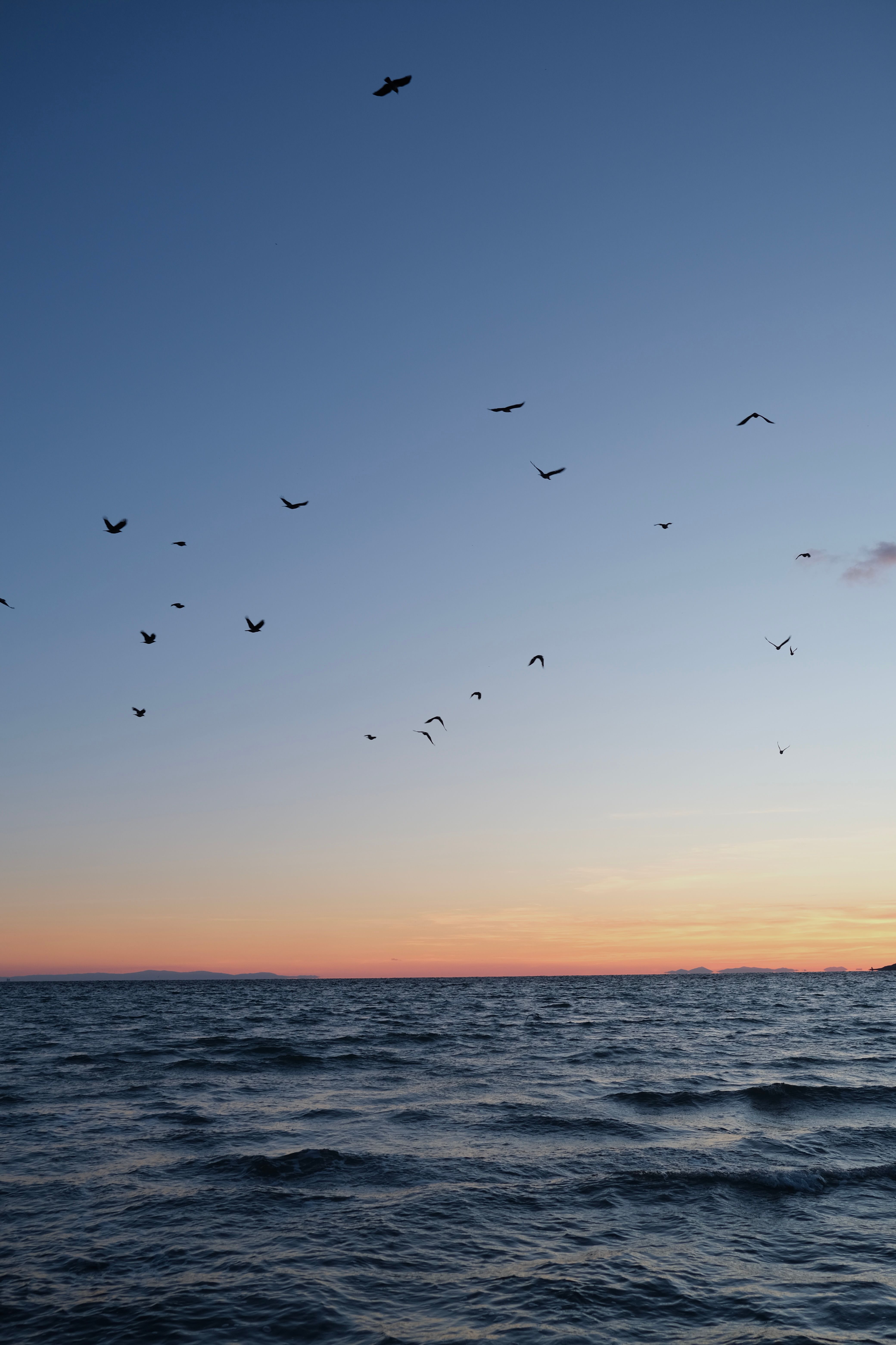 Birds soaring over the ocean during a tranquil sunset in Büyükçekmece, İstanbul.