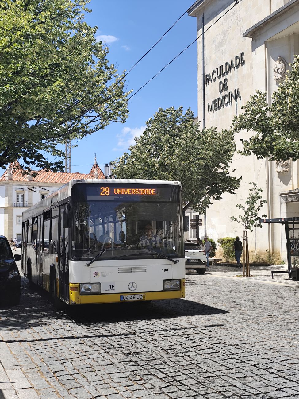 Descoberta da Universidade de Coimbra pode mudar tudo o que sabemos sobre a reparação dos ossos