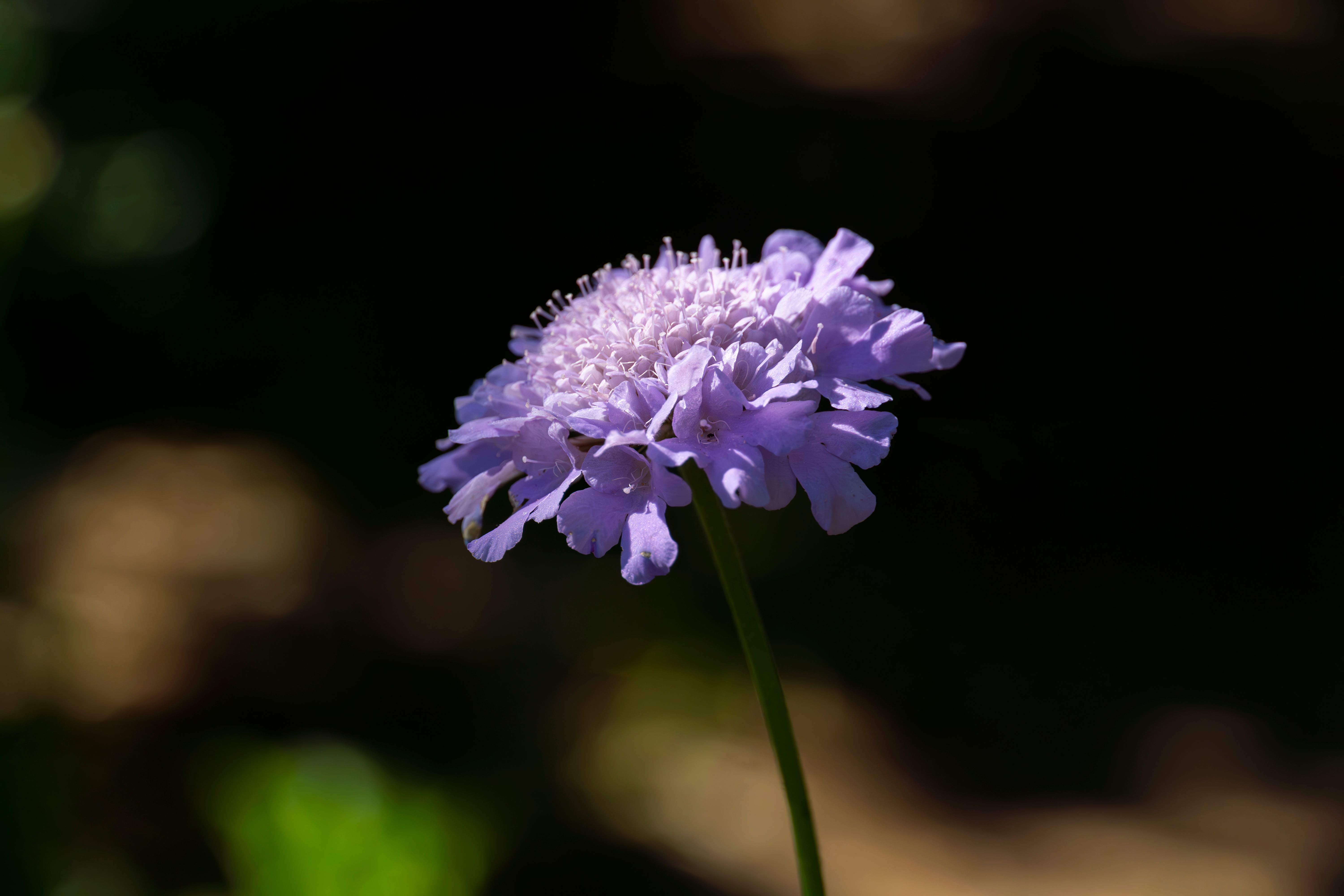 Beautiful+Boo Photos, Download The BEST Free Beautiful+Boo Stock Photos ...
