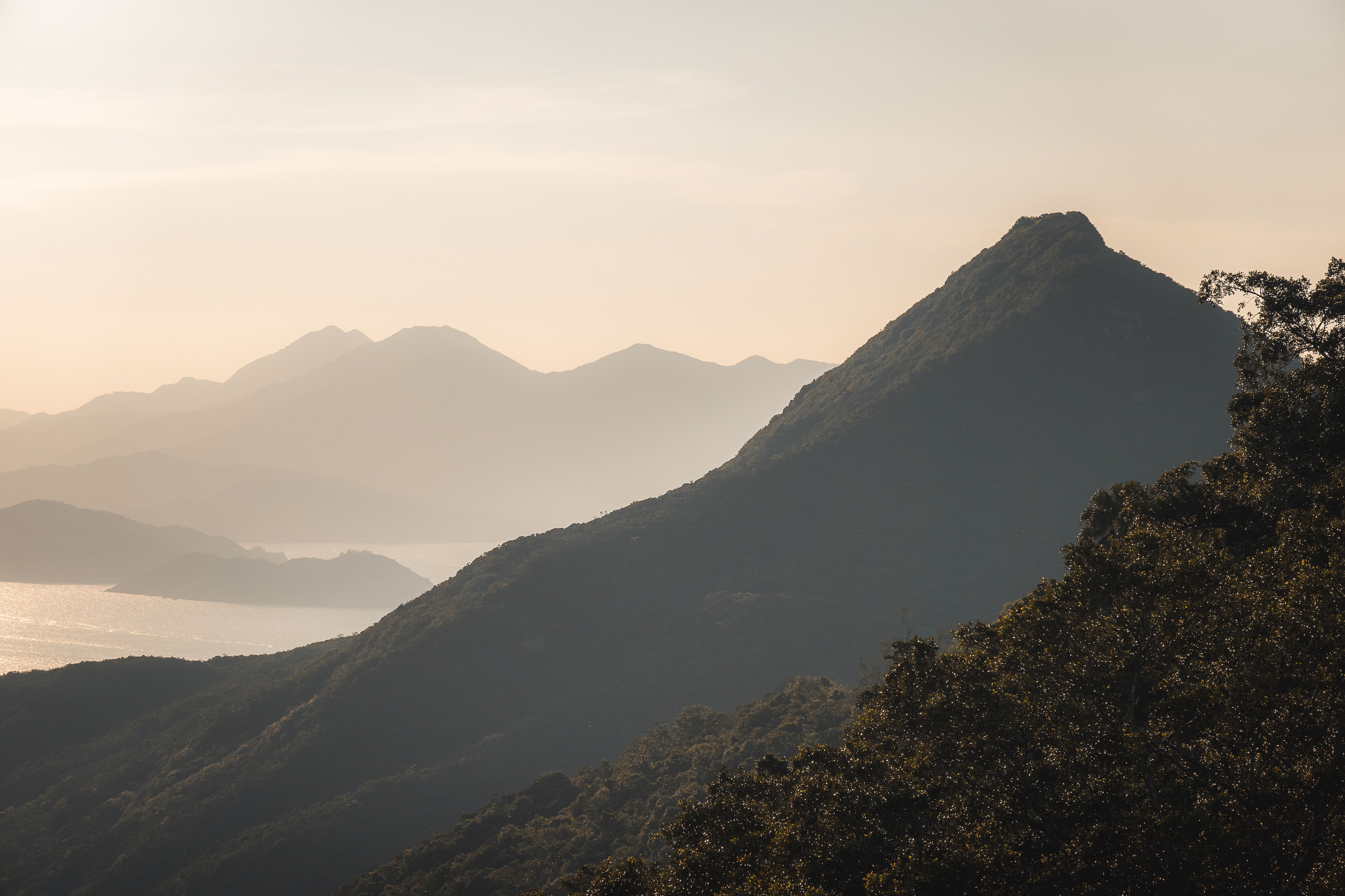 Hong Kong Hiking Guide 2026: Dragon's Back, MacLehose Trail, Victoria Peak & Best Routes