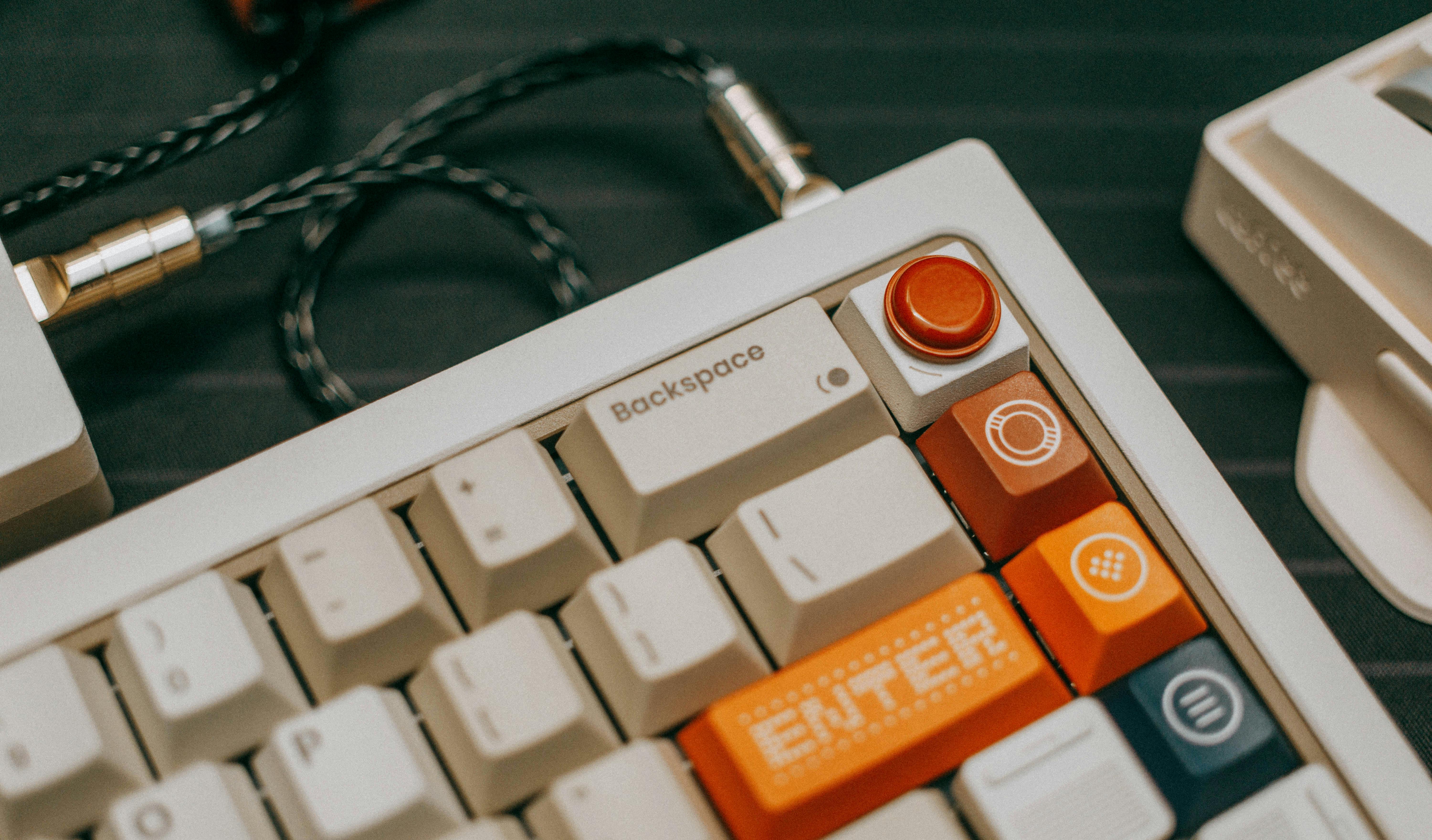 Best of Bethesda 2026 Readers’ Picks: Weddings &amp; Events — Photo by FOX ^.ᆽ.^= ∫ on Pexels