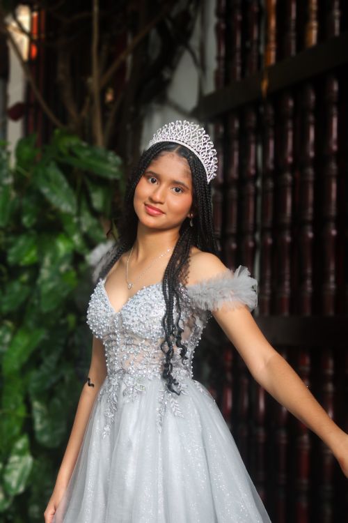 Free Portrait of a young woman wearing a sparkling silver gown and tiara against a lush indoor backdrop. Stock Photo