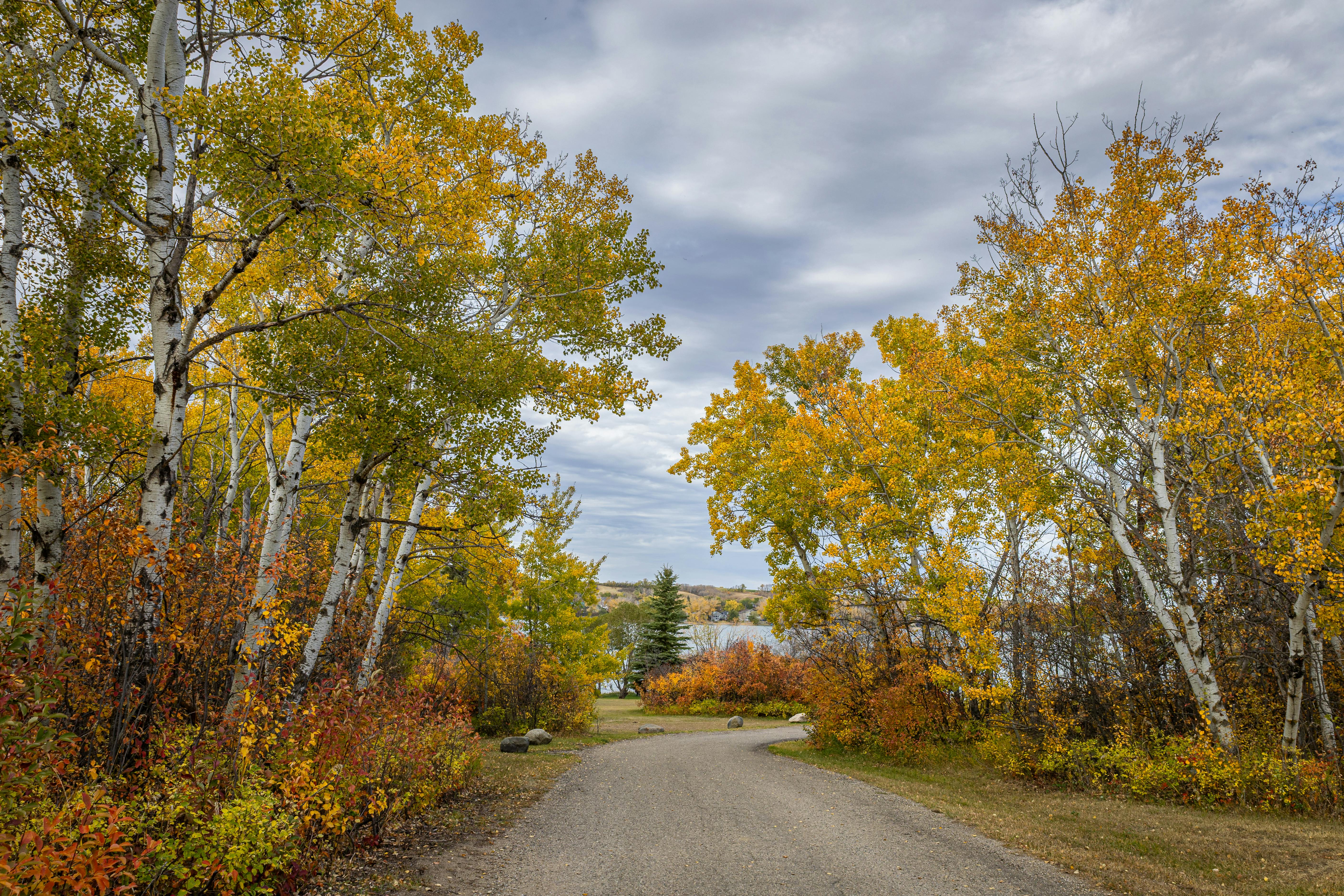 Paysage canadien serein