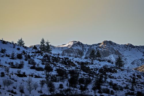 Free Breathtaking view of snowy mountains and trees at Çelikhan during winter sunset. Stock Photo