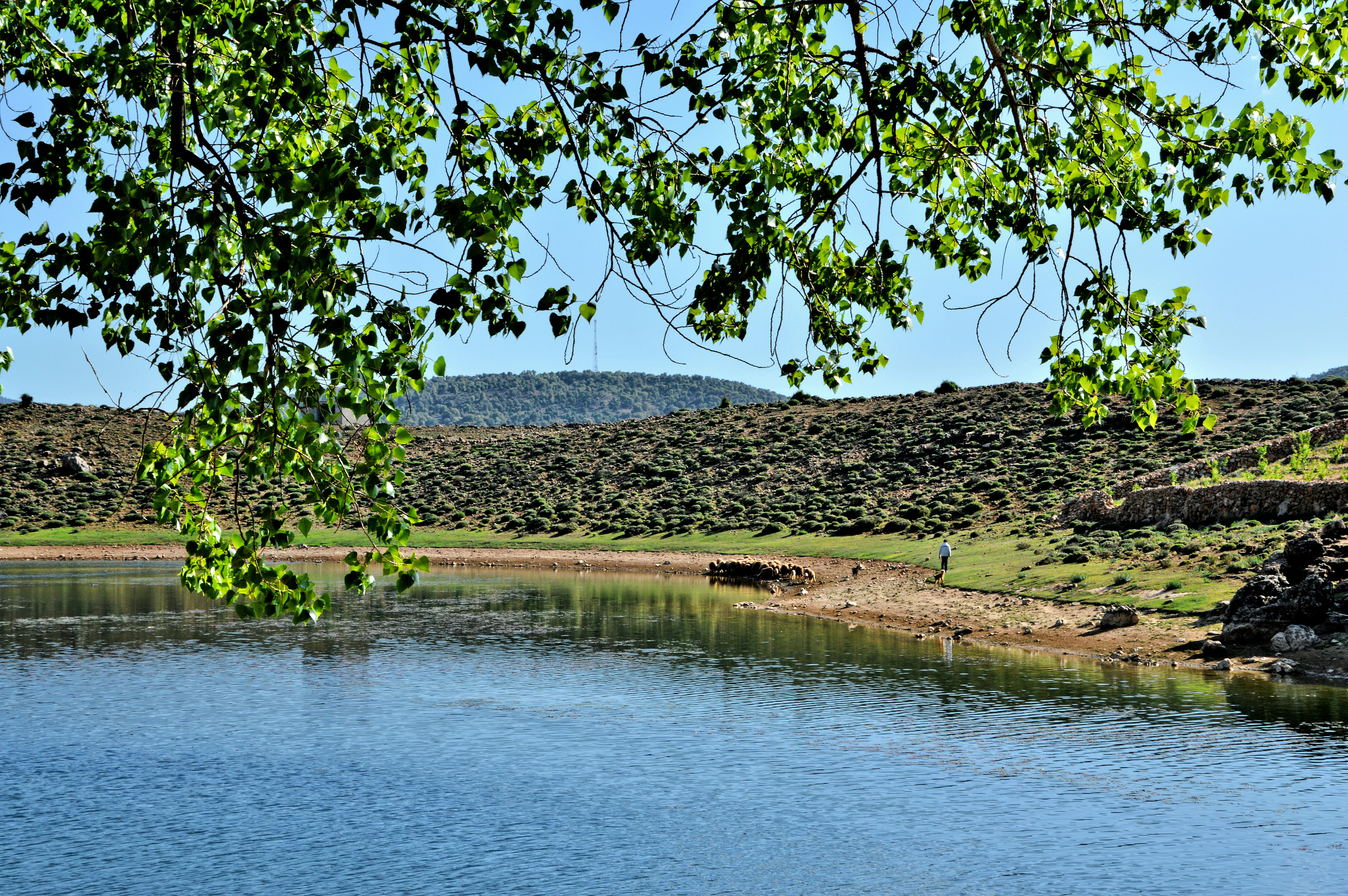 Image : Mount Kenya's Embrace: Finding Serenity Amidst the Struggle of High-Altitude Expeditions