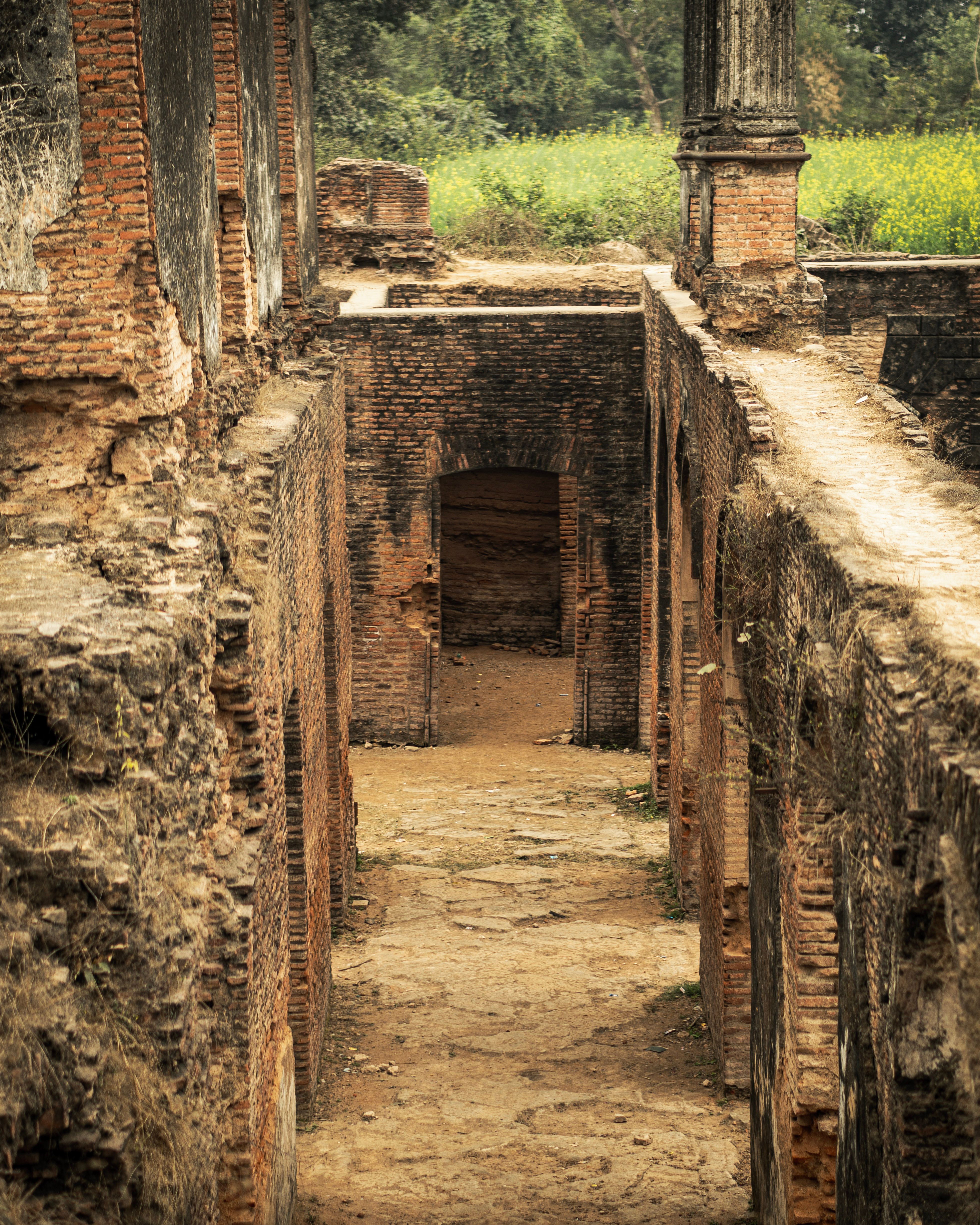 Historic Ruins of Musa Bagh in Lucknow, India · Free Stock Photo
