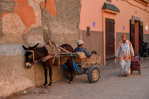 Un'istantanea della vita quotidiana a Marrakech, con un carretto trainato da asini e una donna in abiti tradizionali.