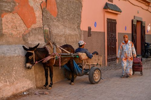 Free A snapshot of daily life in Marrakesh, featuring a donkey cart and a woman in traditional attire. Stock Photo