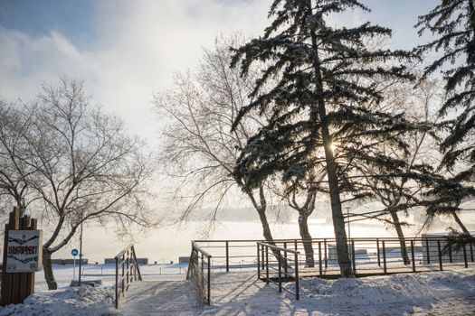 Peaceful winter scene featuring sunlit trees and a snowy pathway at a riverside.