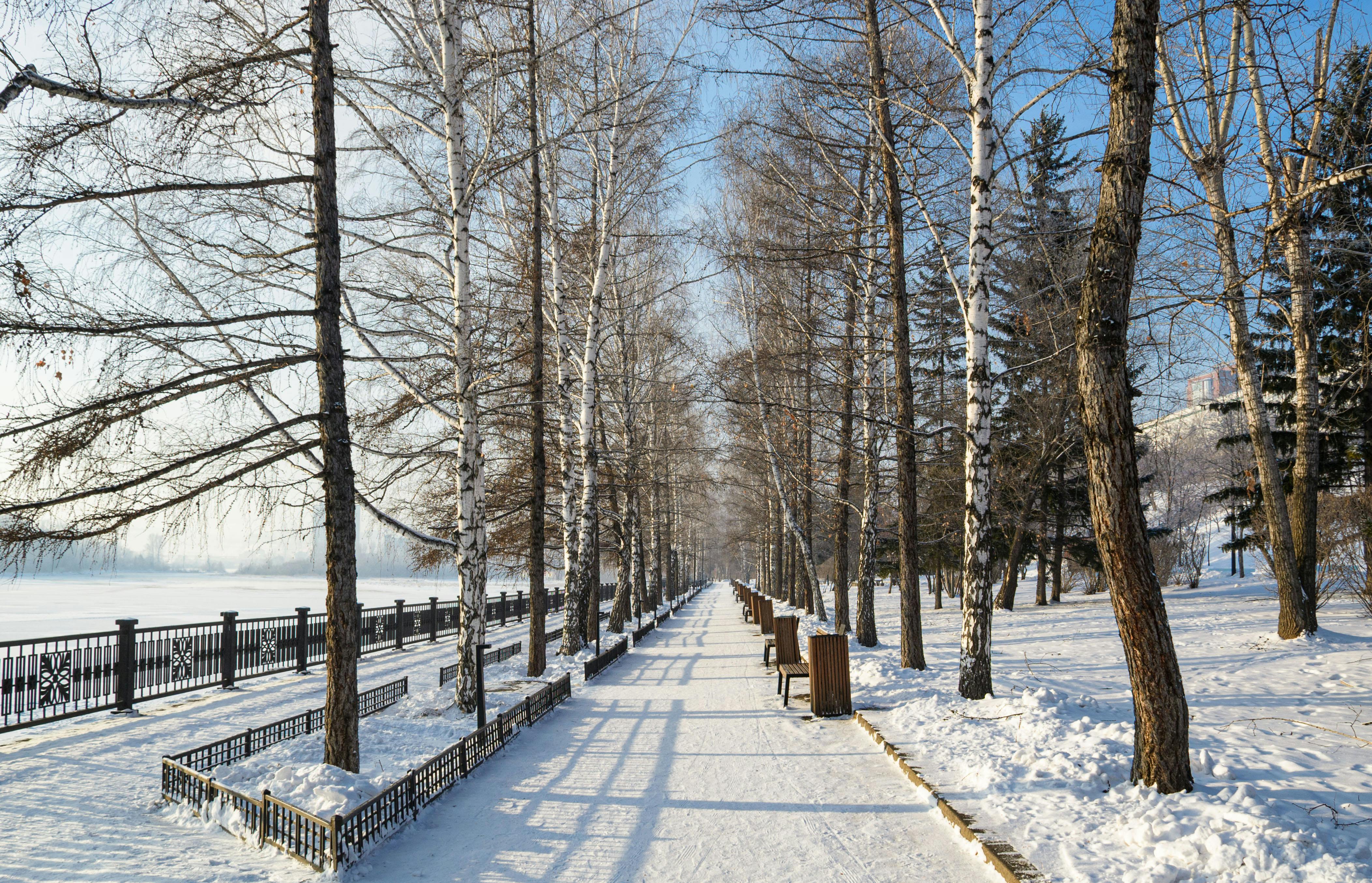 Nature Scenes In Different Seasons