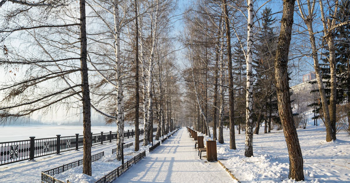 Nature Scenes In Different Seasons