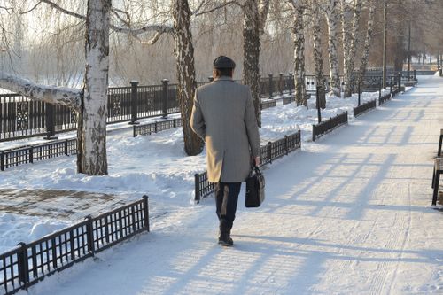 Free Man walking on a snowy park path in winter, holding briefcase, wearing coat and hat. Stock Photo