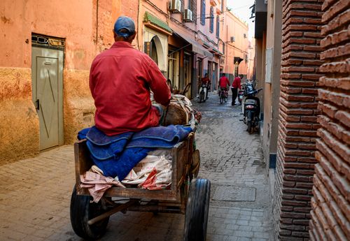 Free A man rides a donkey cart through the narrow streets of Marrakesh's historic medina. Stock Photo