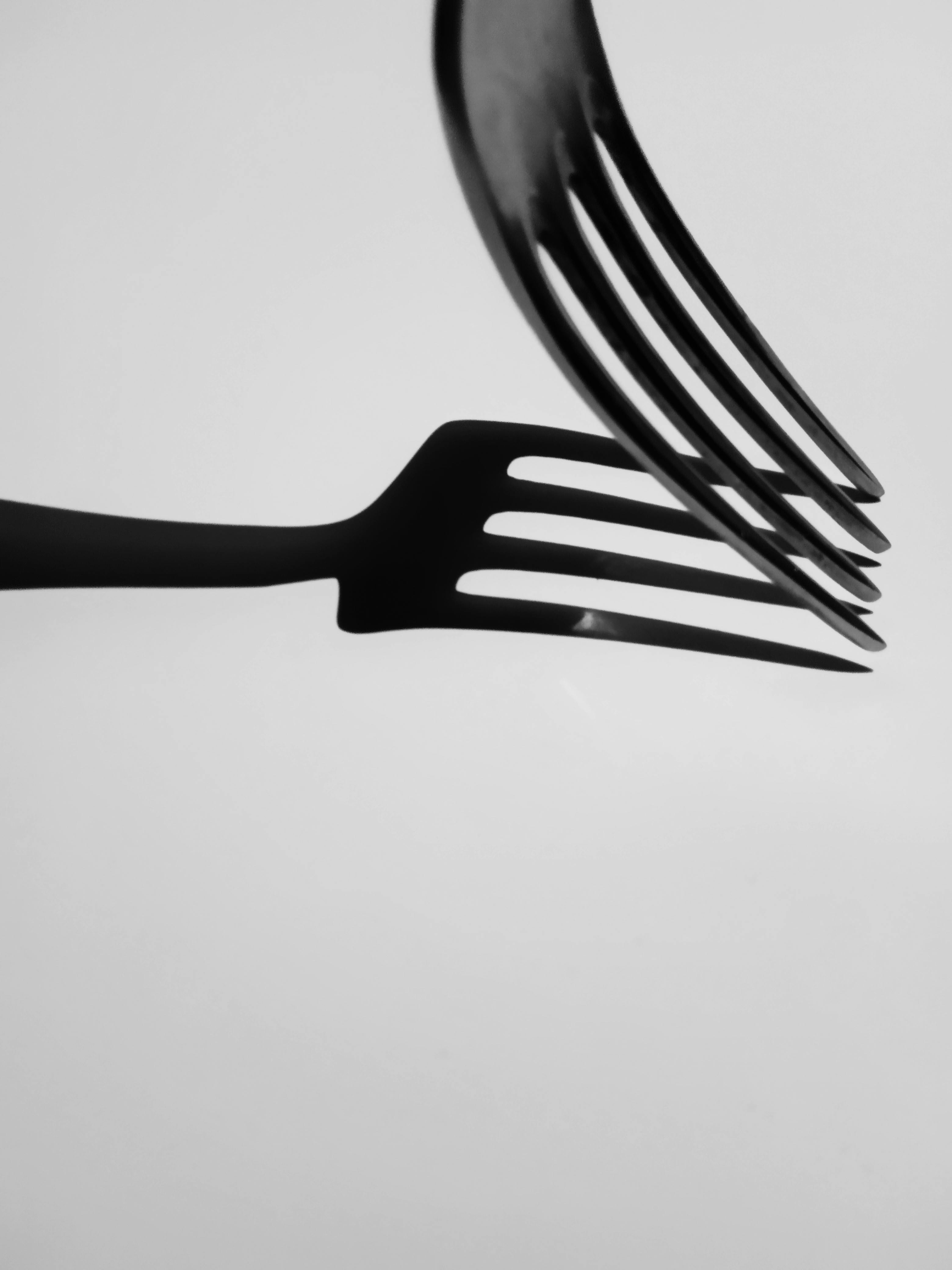 Top ⁣Picks for Every kitchen​ Style and ⁢Budget