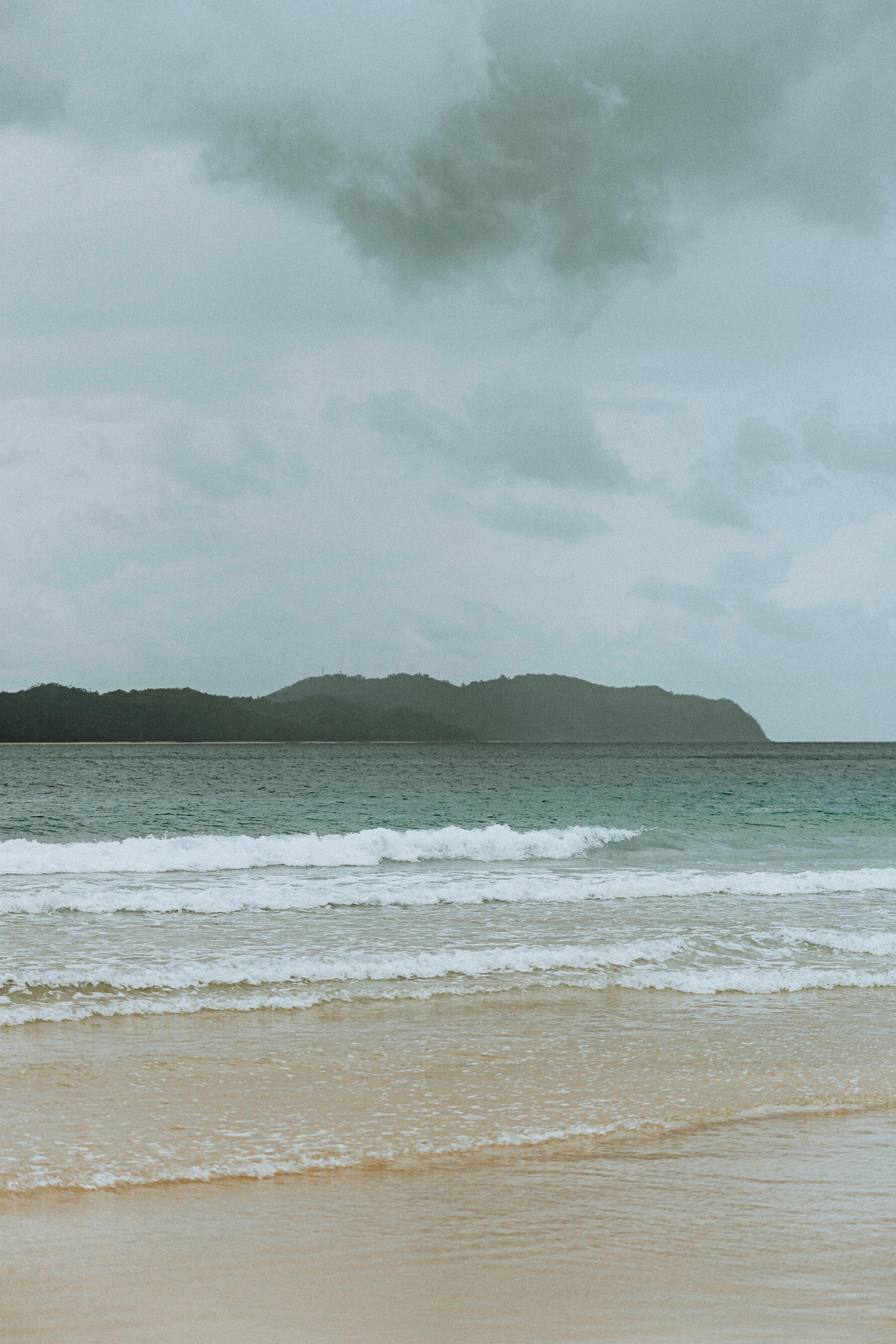 Exploring the Features of the hamilton Beach Quiet Blender