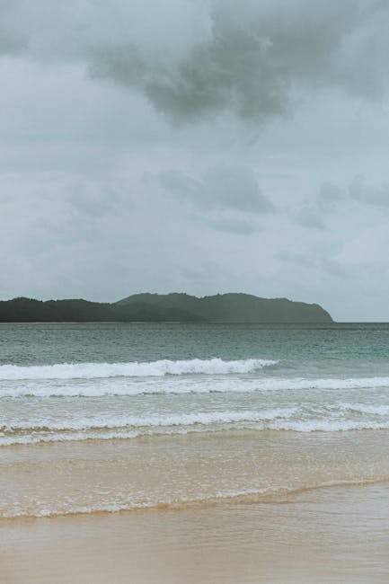 Exploring the Features of the hamilton Beach Quiet Blender