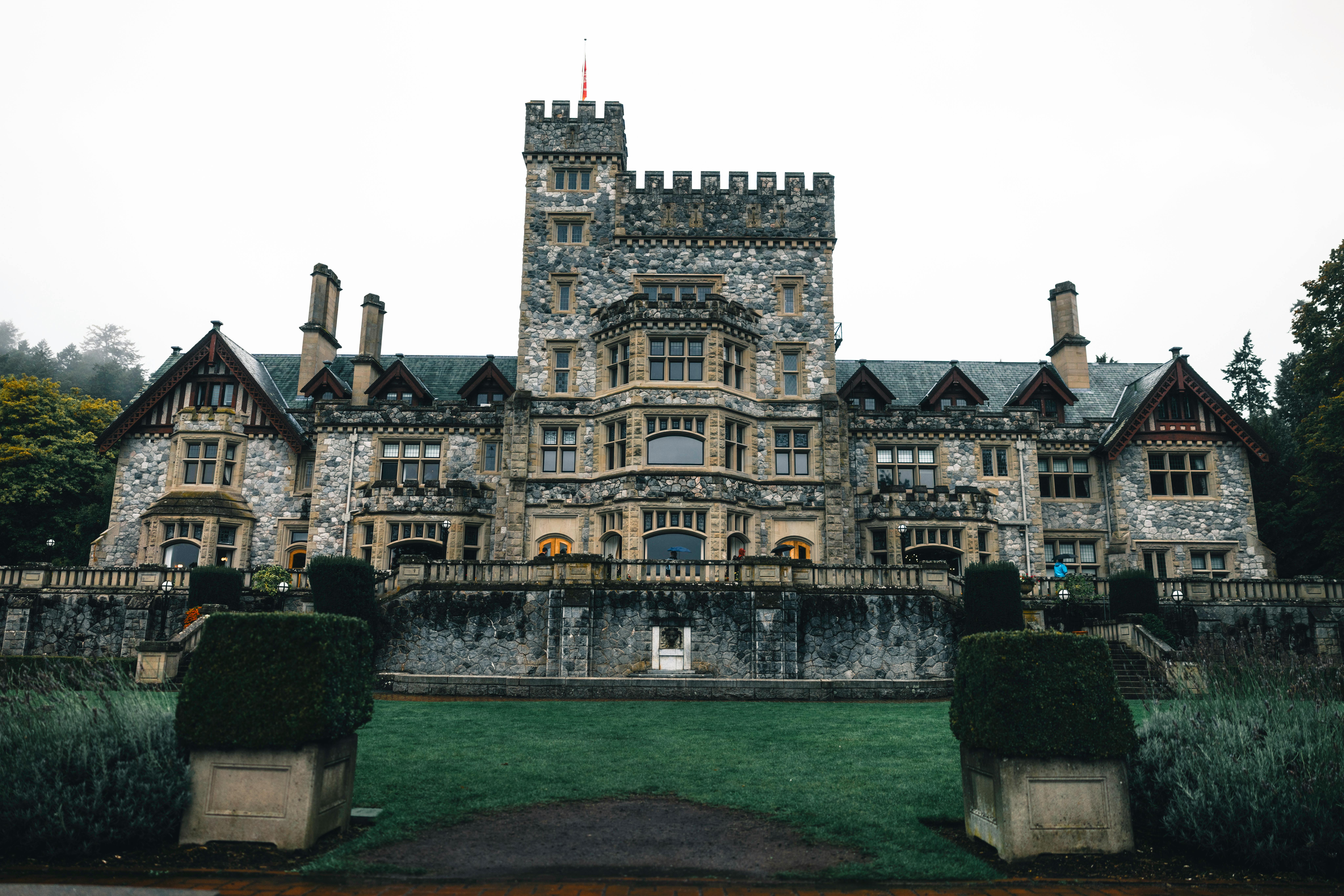 The Energy Vampires Haunting Your Home — Photo by Ali Kazal on Pexels