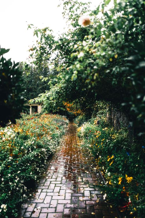 Free Explore a vibrant, lush garden pathway in Victoria, BC, showcasing beautiful nature. Stock Photo