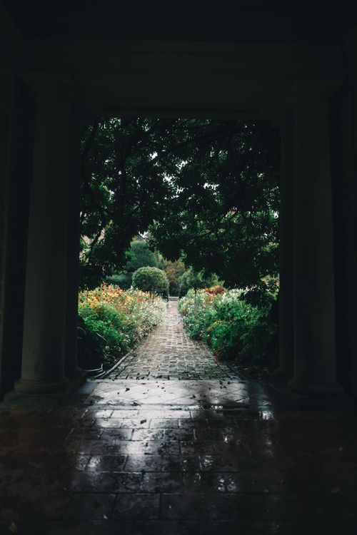 Free Explore a serene brick pathway through a lush garden in Victoria, Canada, surrounded by vibrant greenery. Stock Photo