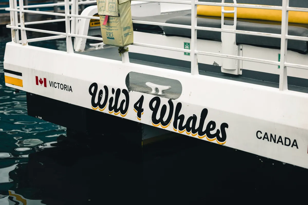 A whale-watching catamaran on the open ocean