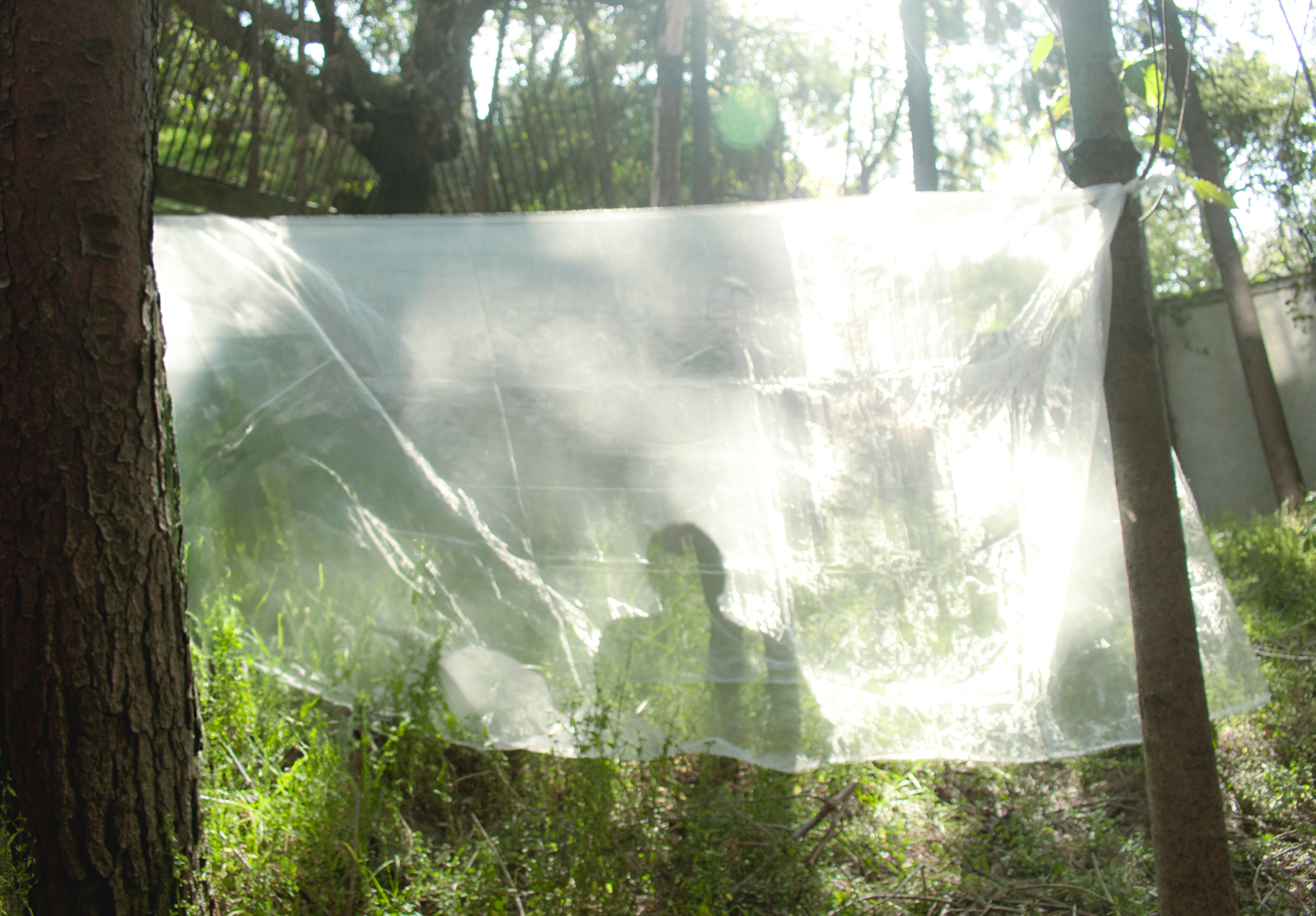 Ethereal Shadow Behind Transparent Plastic Sheet Outdoors · Free Stock ...