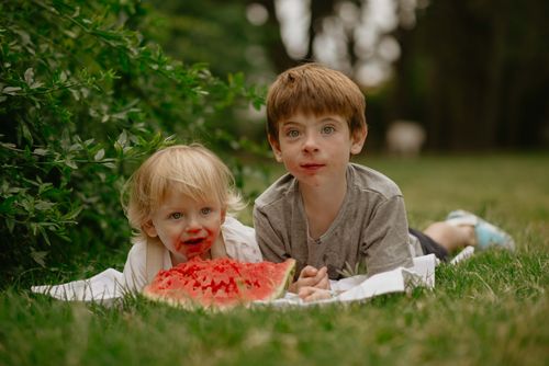 Free Two young children enjoying a juicy watermelon slice on a grassy field outside. Stock Photo